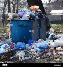 Best Yard Waste Removal  in Sauk Centre, MN