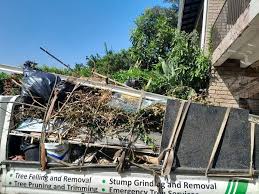Demolition Debris Removal in Sauk Centre, MN